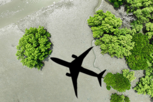 Sidnei Piva de Jesus