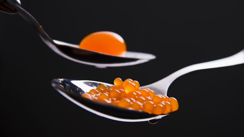 A gastronomia molecular transforma a experiência culinária ao unir ciência e sabor, afirma Kelsem Ricardo Rios Lima.