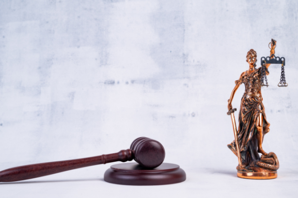 Alexandre Victor De Carvalho analisa a aplicação do princípio da insignificância em casos de pequenos furtos e seus impactos na justiça.