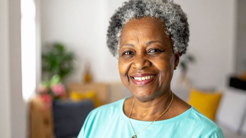 Sindnapi - Sindicato Nacional dos Aposentados, Pensionistas e Idosos