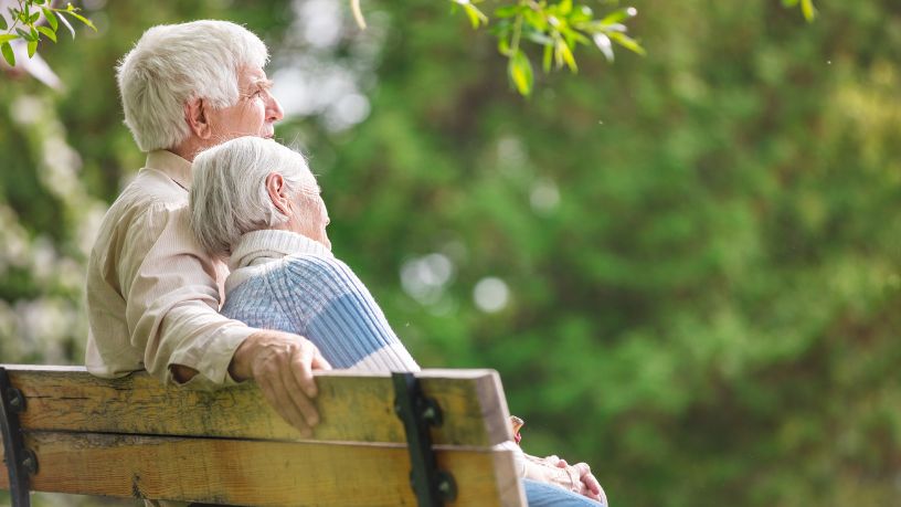 Sindnapi - Sindicato Nacional dos Aposentados, Pensionistas e Idosos